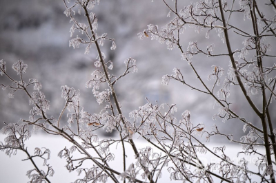 Сегодня в Татарстане похолодает до -21 градусов