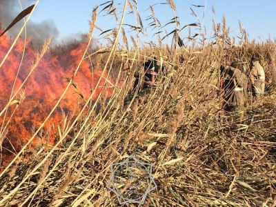 Пожар в резервате &quot;Акжайык&quot;: почти 300 тонн воды сбросили с вертолетов   