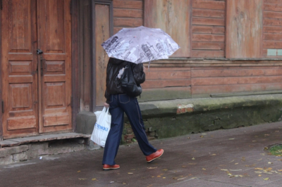 Дожди и весенняя жара накроют Новосибирск: дата