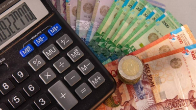 Почти 100 млрд направлено на поддержку безработных из ГФСС