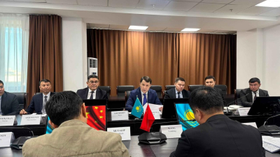 В Жамбылской области реализуют проект по глубокой переработке кукурузы