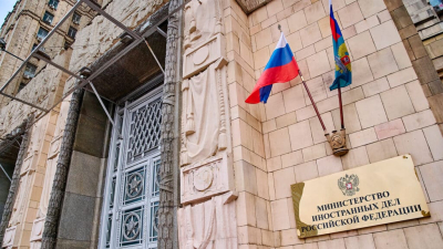В МИД РФ объяснили причину жесткого обращения с мигрантами в бане Москвы