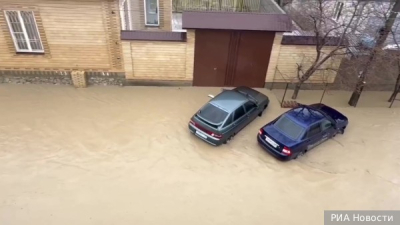 Пожарные из Канзаса спасли застрявшего в кресле-шезлонге кота-пухляка