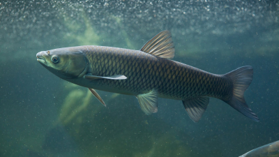 В Туркестанской области запустили цех по производству икры