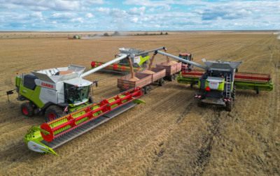 В МСХ заявили о рекордном урожае зерновых в Казахстане