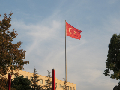 Политолог Джаралла: Турция останавливает Запад от диверсии в Черном море