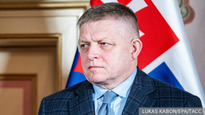 Вирусолог Гинзбург оценил угрозу распространения хантавируса Андес в России