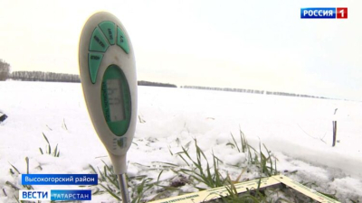 В Татарстане зафиксировали малую гибель озимых